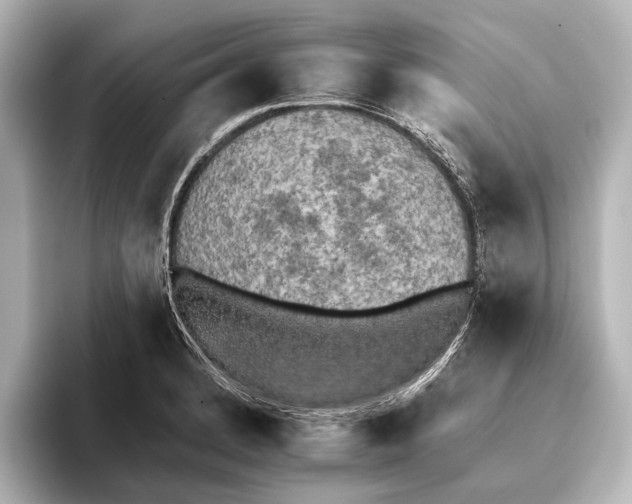 X0000095671184200802051224