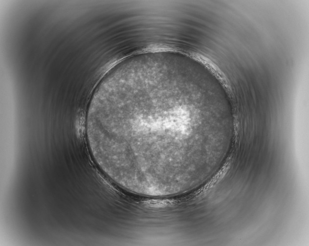 X0000095671185200802051224