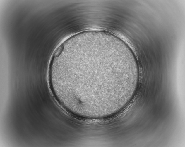 X0000095671187200802051224