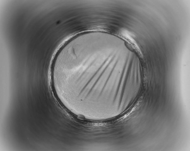 X0000095671188200802051224