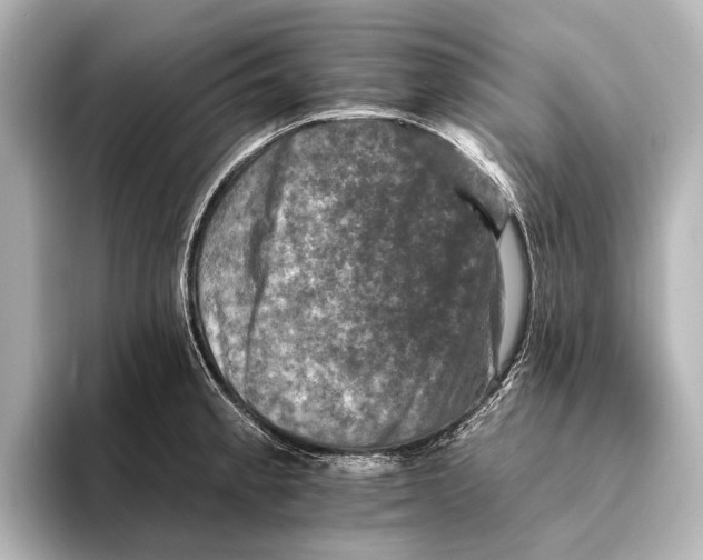 X0000095671189200802051224