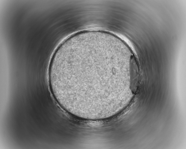 X0000095671191200802051224