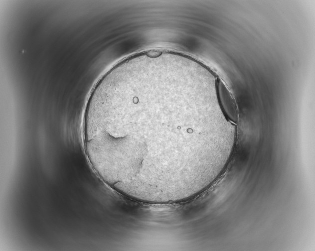 X0000095671199200802051224