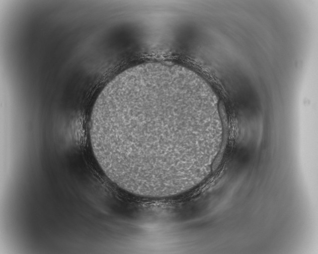 X0000095671202200802051223