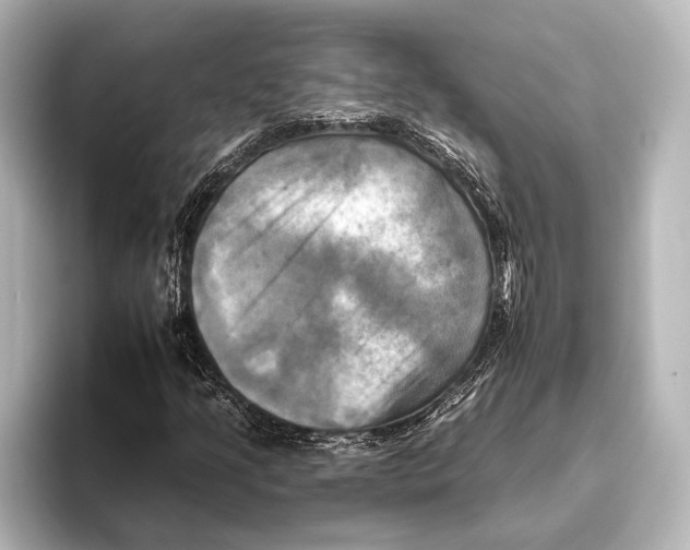 X0000095671205200802051223