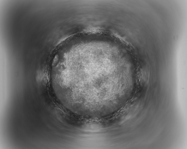 X0000095671206200802051223