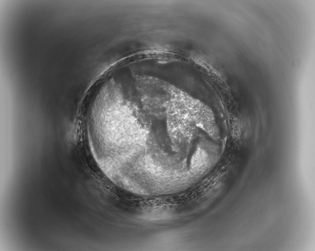 X0000095671208200802051223