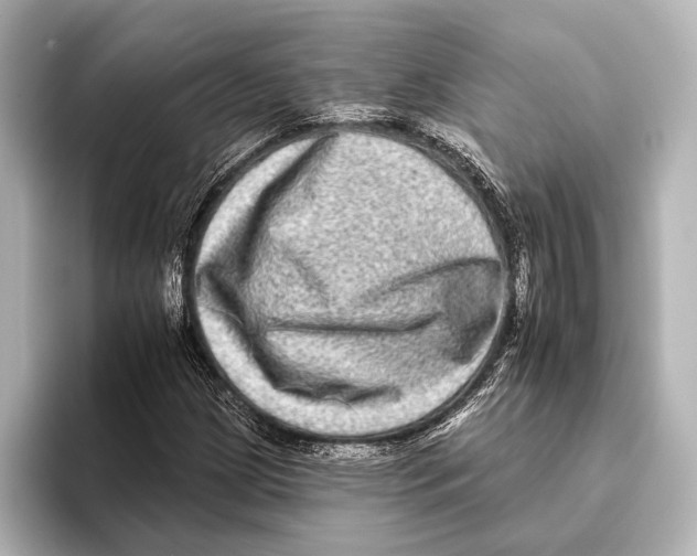 X0000095671209200802051223