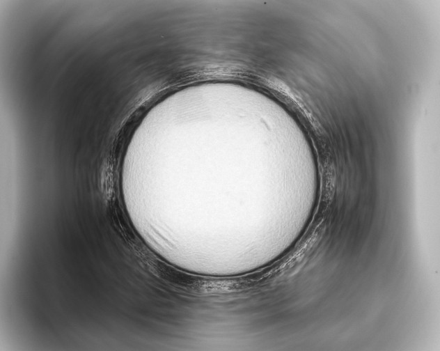 X0000095671211200802051223