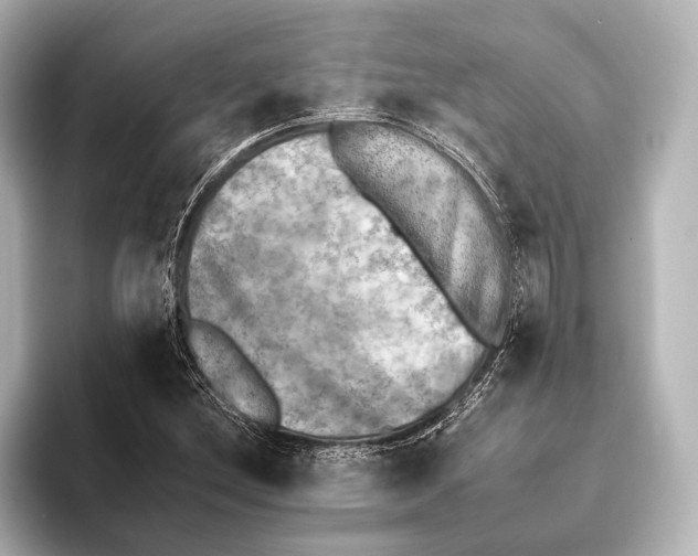 X0000095671212200802051223