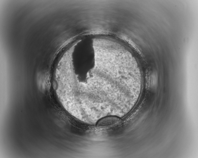 X0000095671213200802051223