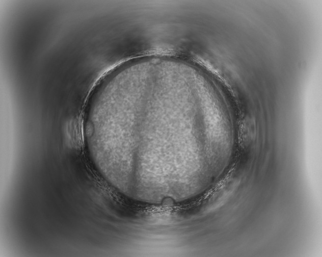 X0000095671214200802051223