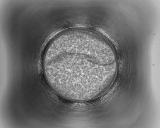 X0000095671215200802051223