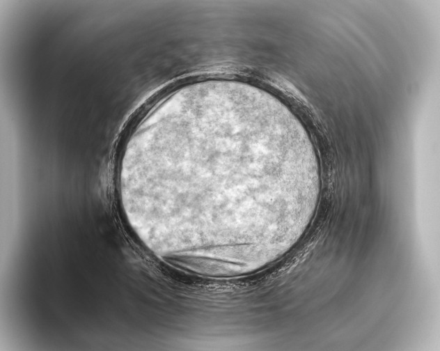 X0000095671216200802051223