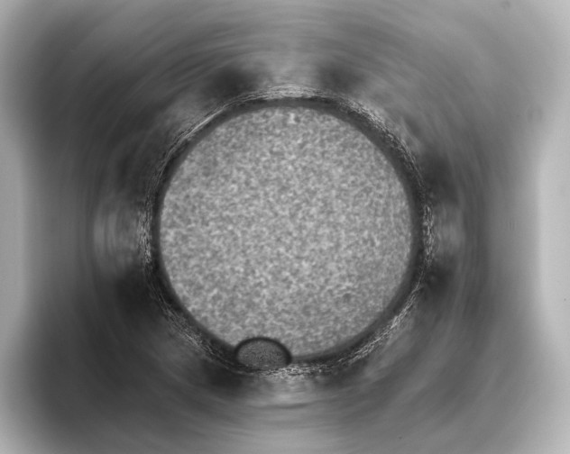 X0000095671217200802051223