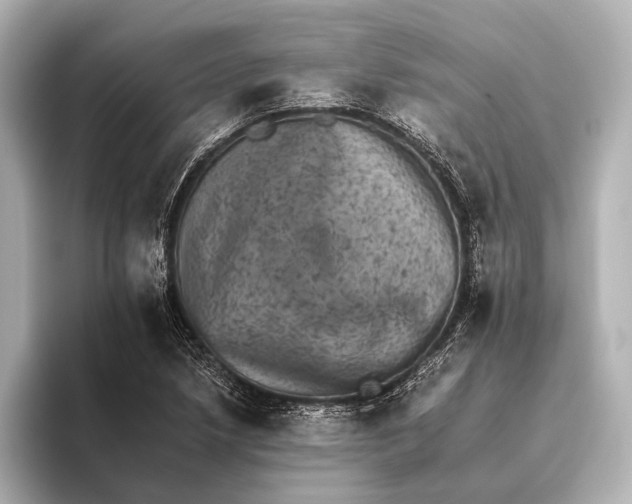 X0000095671218200802051223