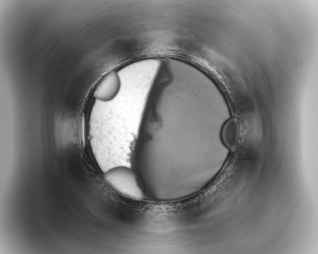 X0000095671219200802051223