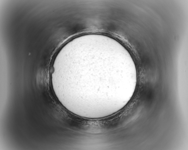 X0000095671220200802051223