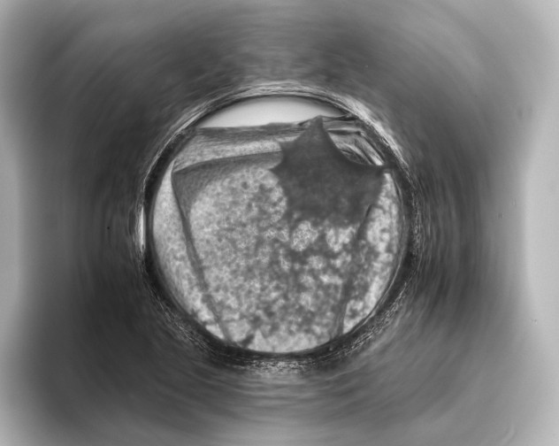 X0000095671221200802051223