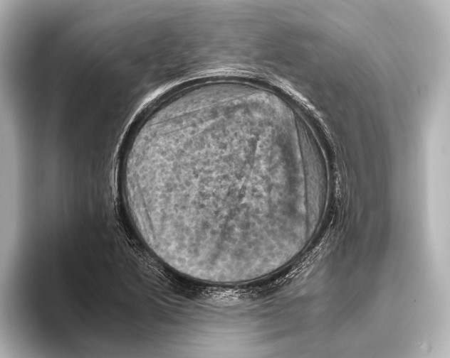 X0000095671222200802051223