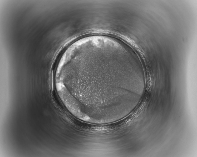 X0000095671223200802051223