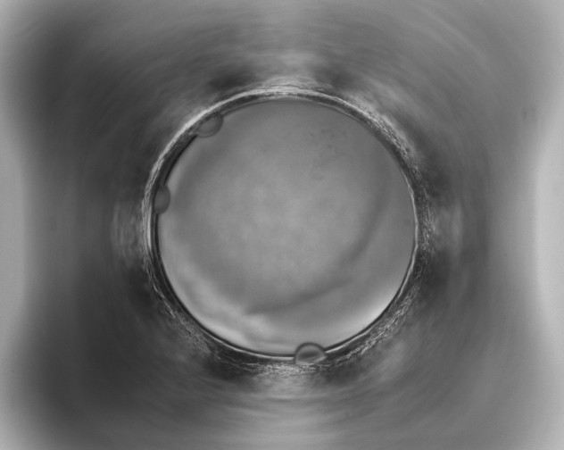 X0000095671224200802051223