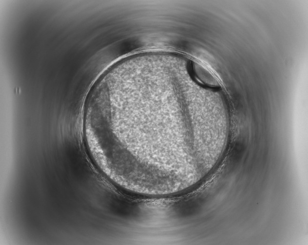 X0000095671228200802051223