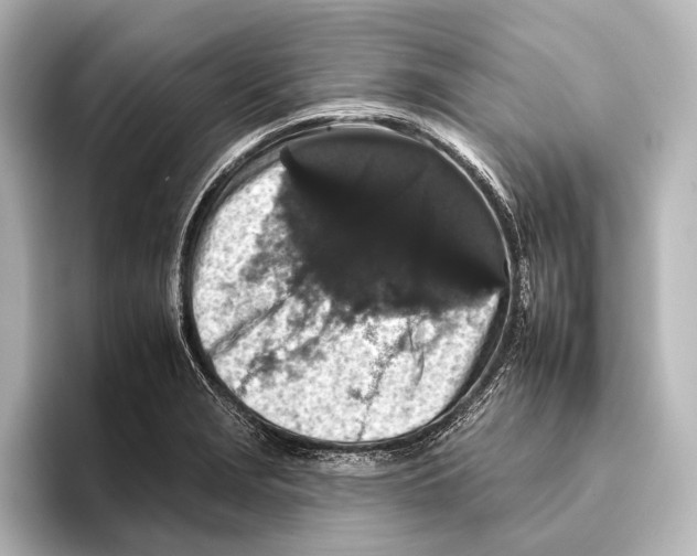 X0000095671229200802051223