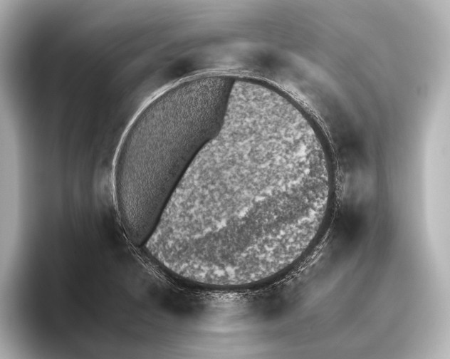 X0000095671230200802051223