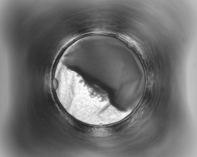 X0000095671231200802051223