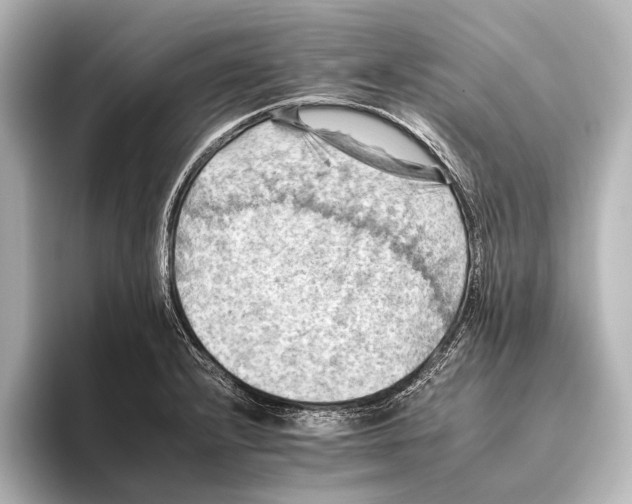 X0000095671232200802051223