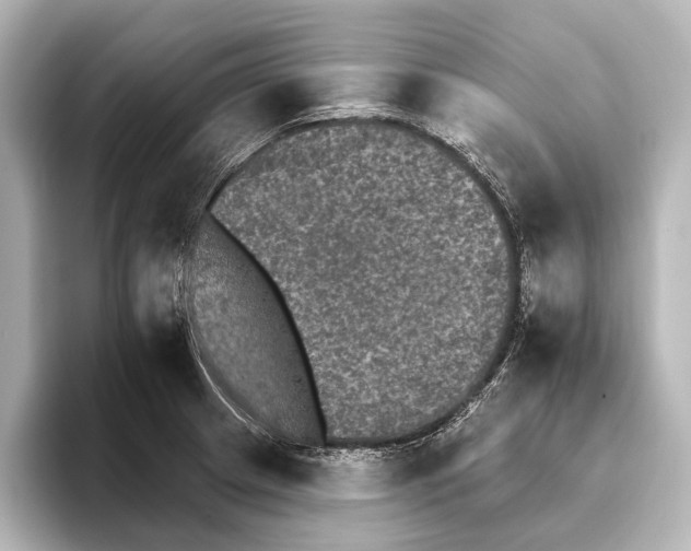 X0000095671233200802051223