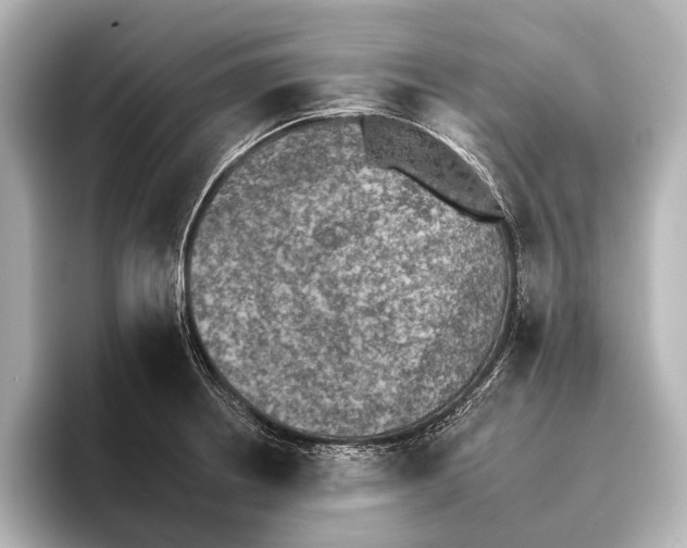 X0000095671234200802051223