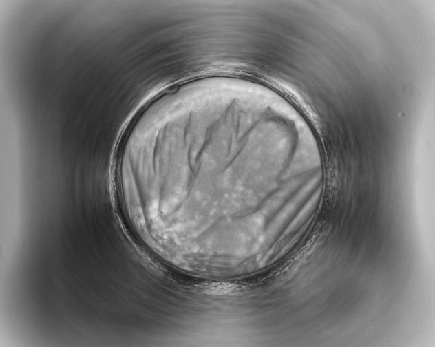 X0000095671235200802051223