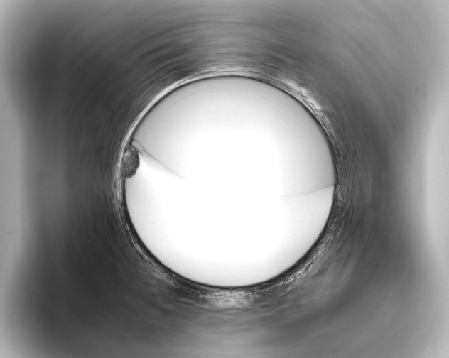 X0000095671236200802051223