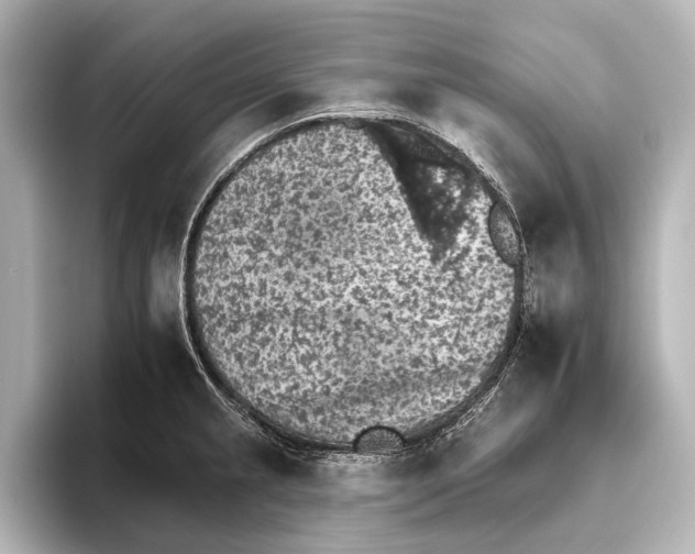 X0000095671237200802051223