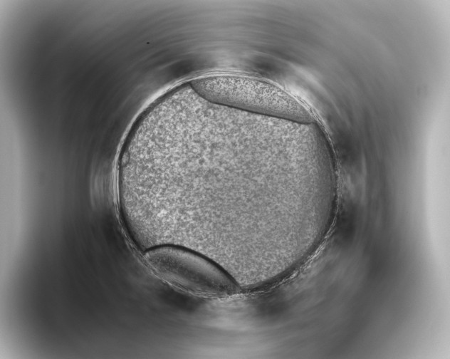 X0000095671238200802051223