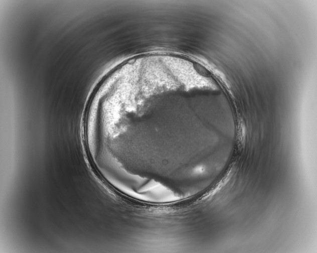 X0000095671239200802051223