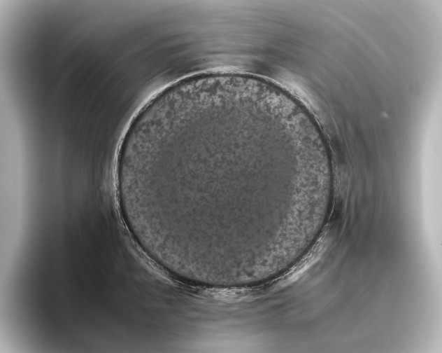 X0000095671240200802051223