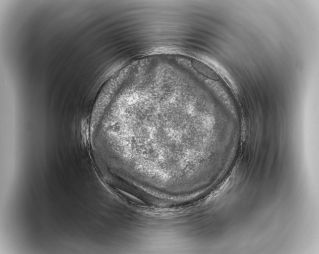 X0000095671241200802051223