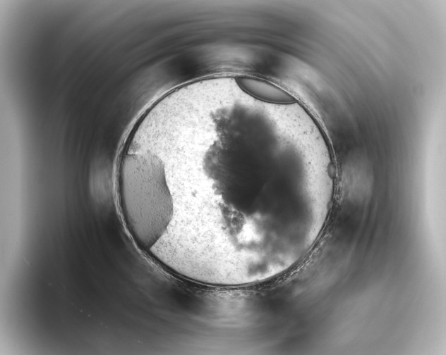 X0000095671243200802051223