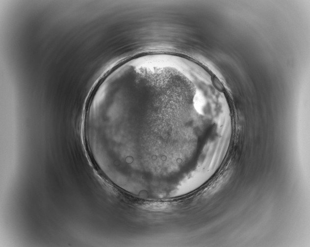 X0000095671245200802051223