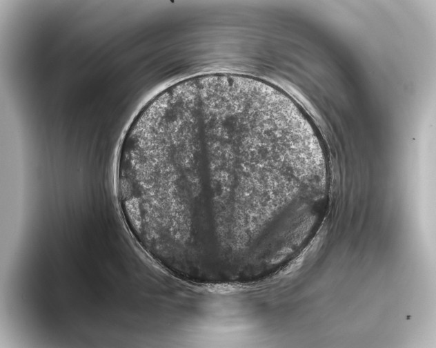 X0000095671246200802051223