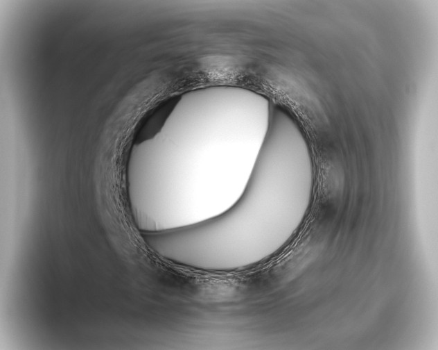 X0000095671249200802051223