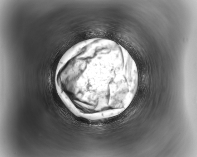 X0000095671250200802051223