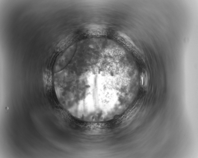 X0000095671251200802051223