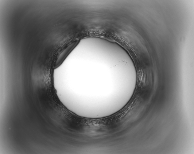 X0000095671252200802051223