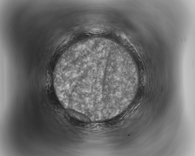 X0000095671253200802051223