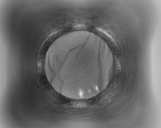 X0000095671254200802051223