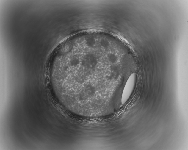 X0000095671255200802051223